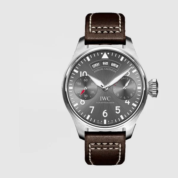 IWC 파일럿 워치 46.2 IW502702