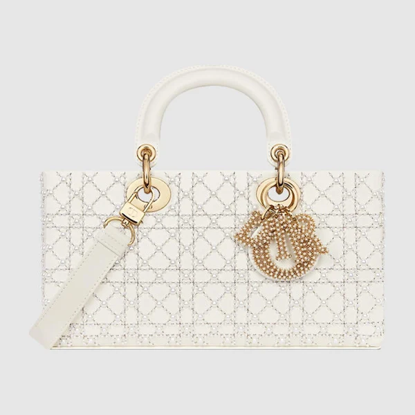 디올 레이디 디조이백 미듐 M0540