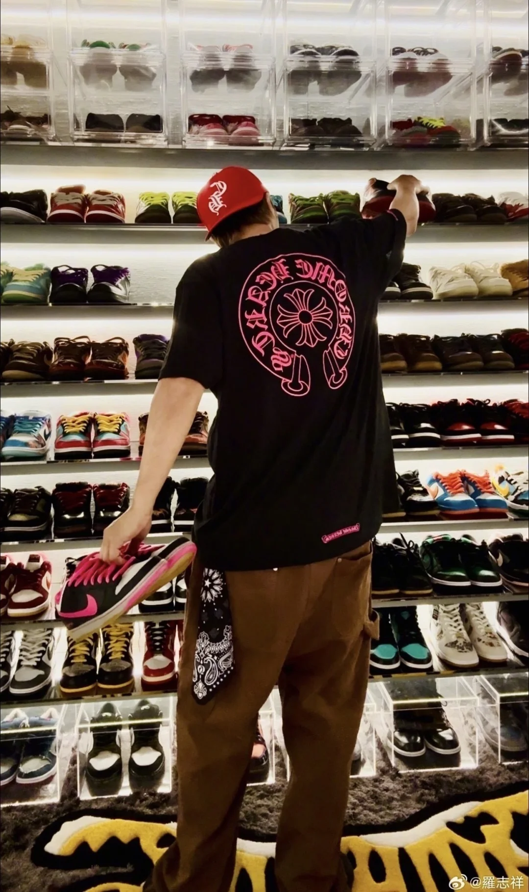 e0c9b92fb306c.webp