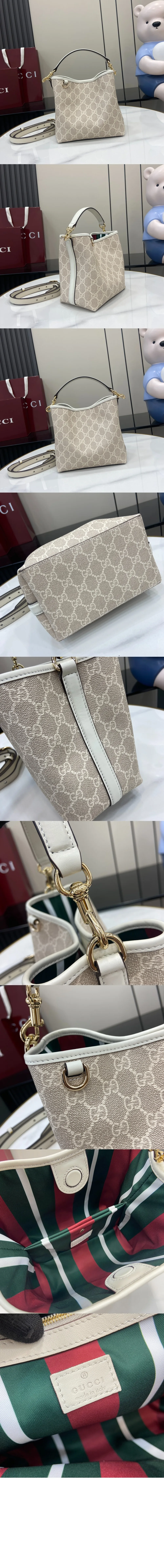 bag14908-2.jpg