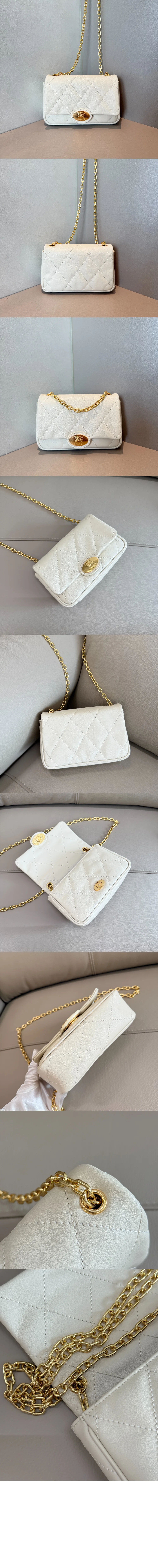 bag17971-2.jpg