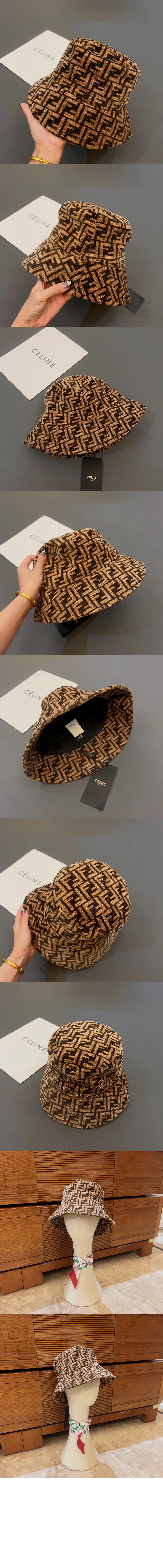cap3009-2.jpg