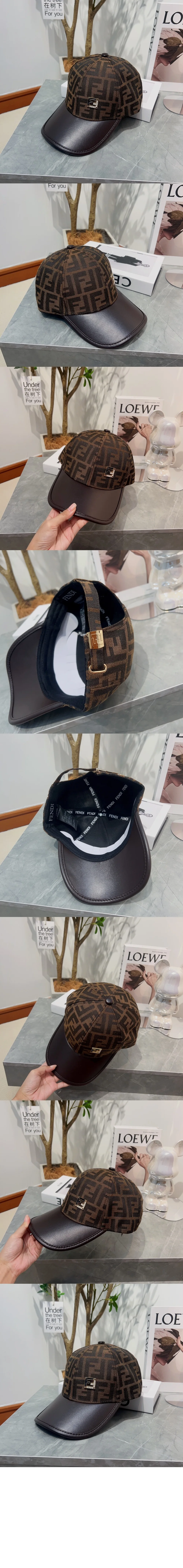 cap3017-2.jpg