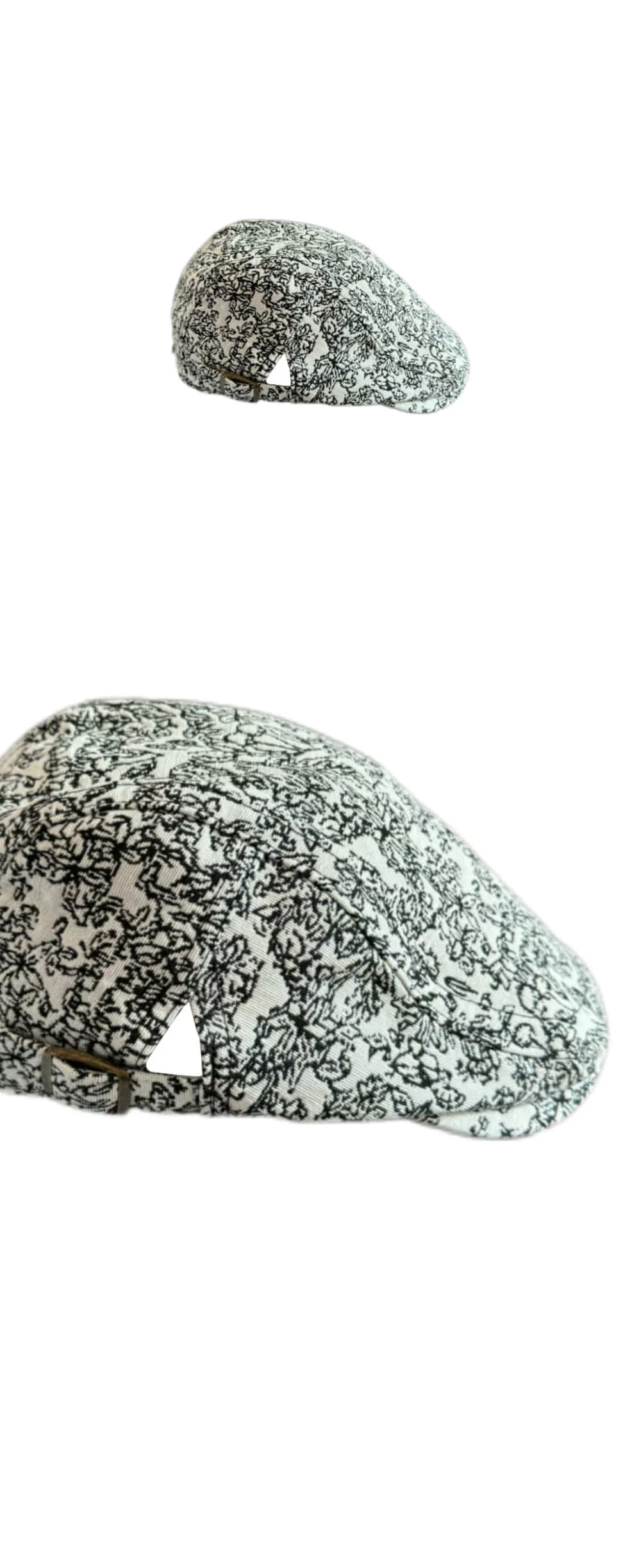 cap3234.jpg