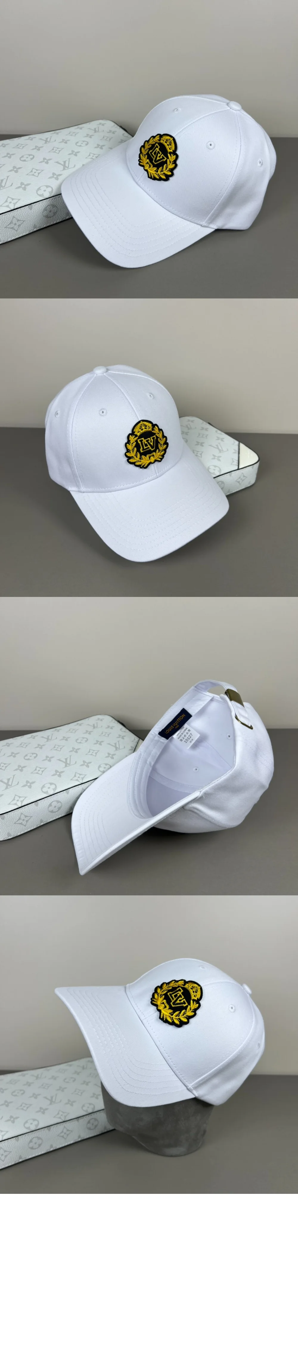 cap3319-2.jpg