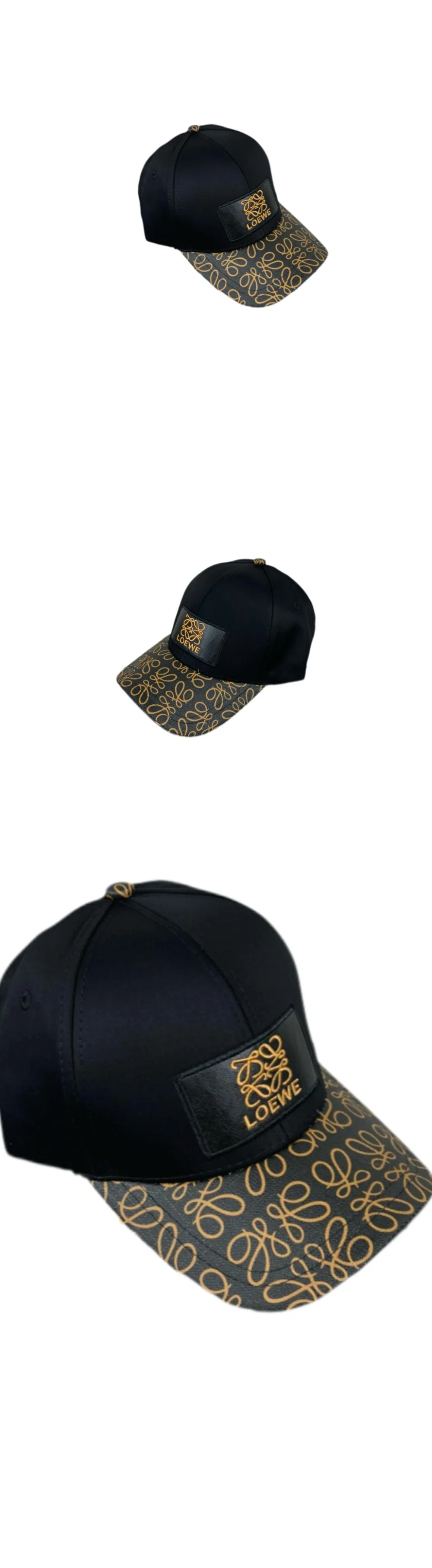 cap3339.jpg