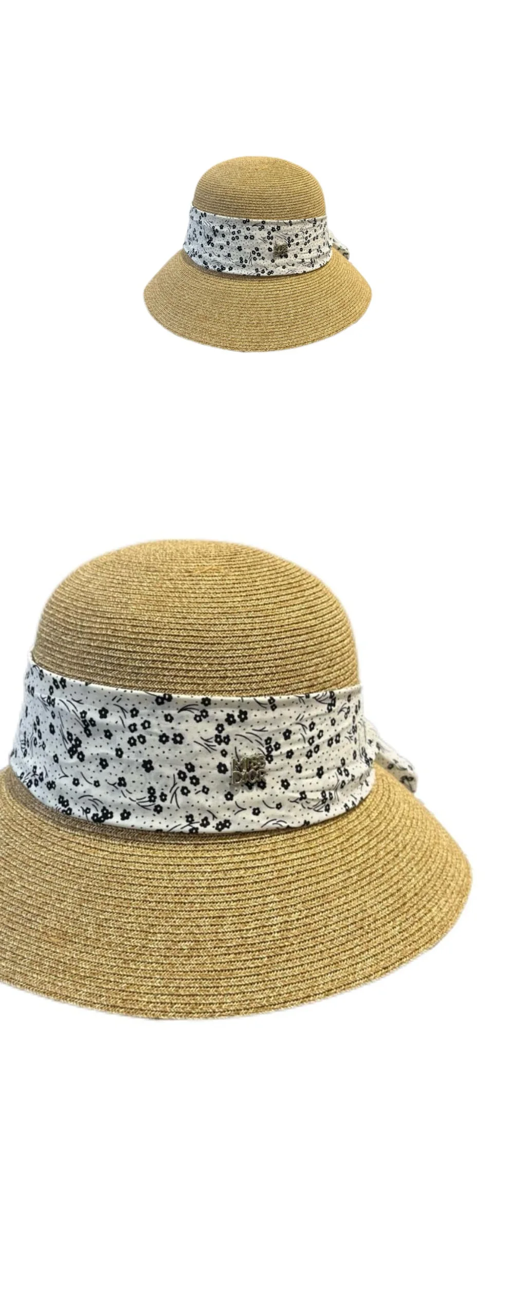 cap3941.jpg