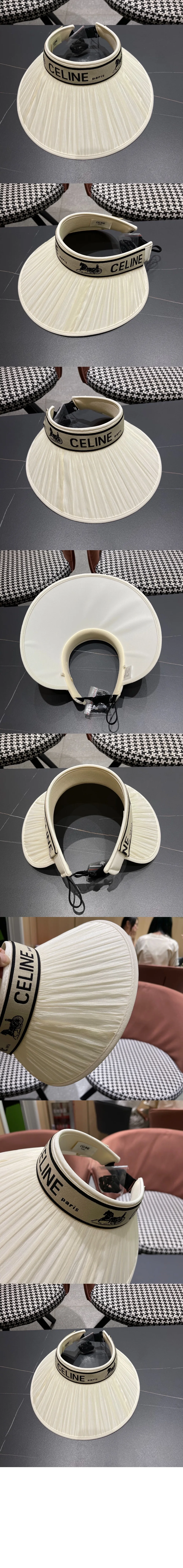cap3992-2.jpg