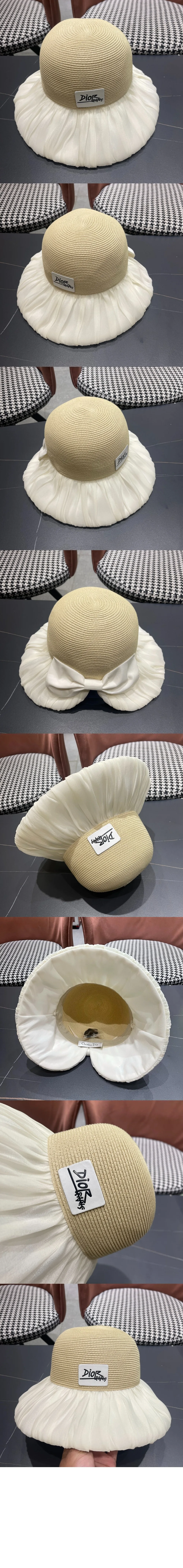 cap4006-2.jpg