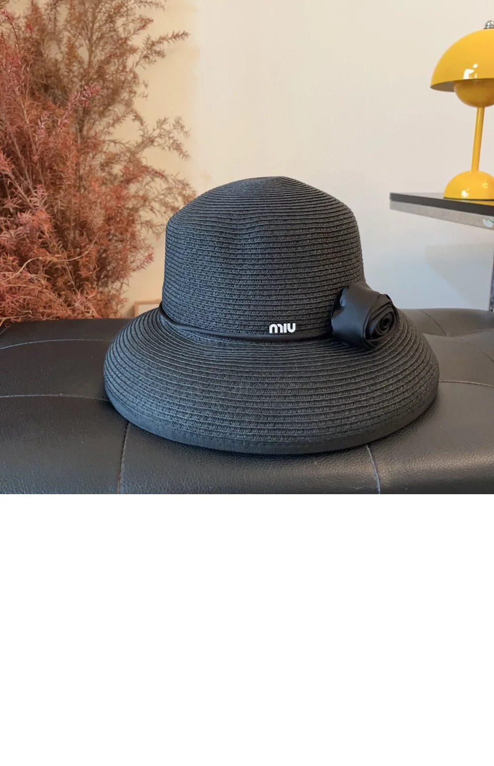 cap4179-1.jpg