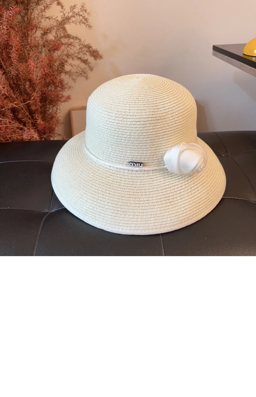 cap4179-2.jpg