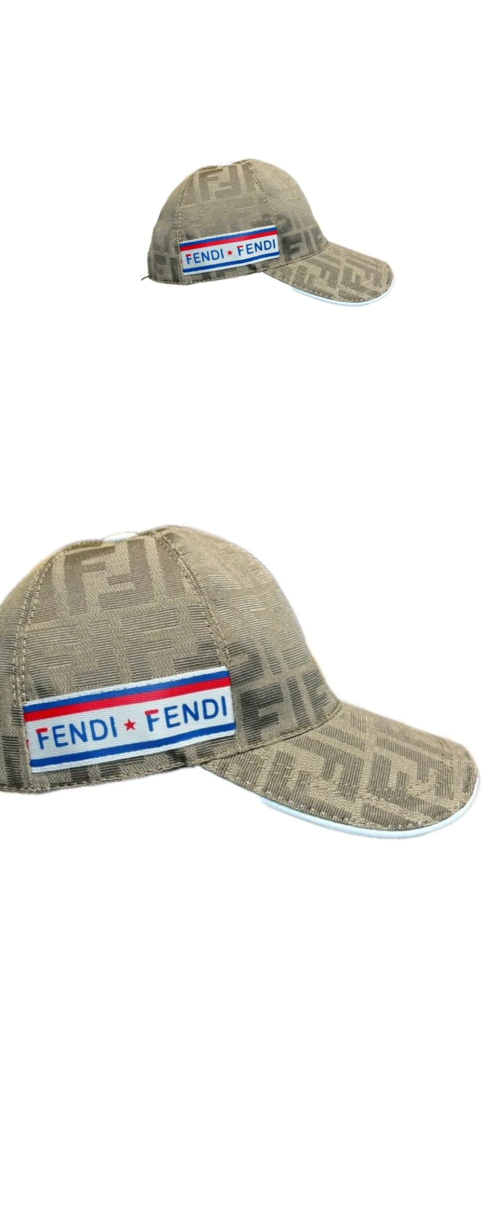 cap4273.jpg