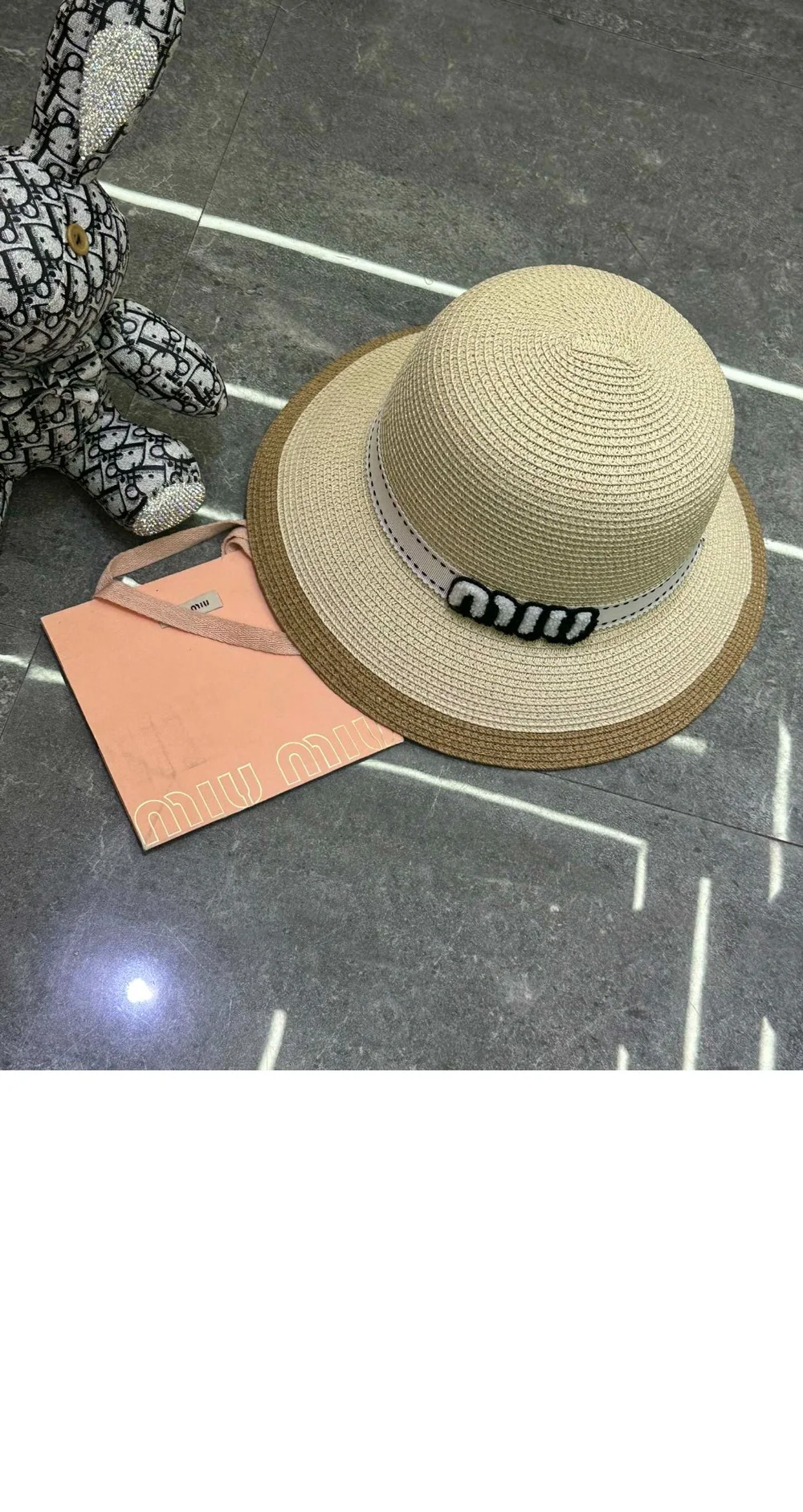 cap4389-3.jpg