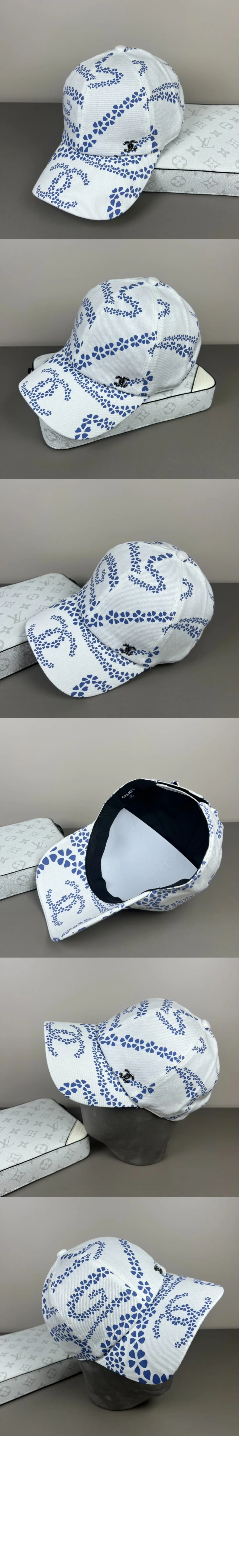 cap4423-2.jpg