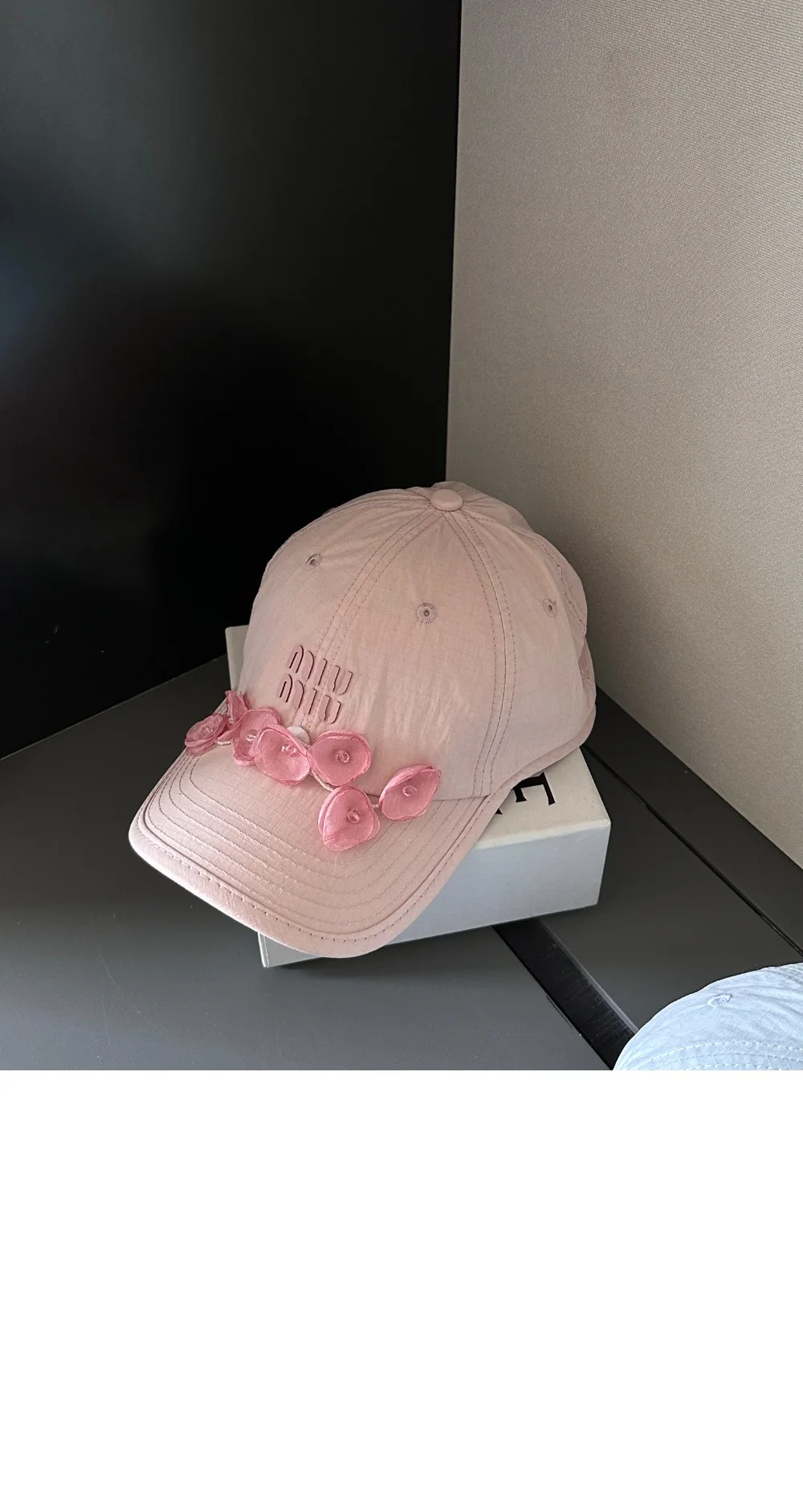 cap4441-3.jpg