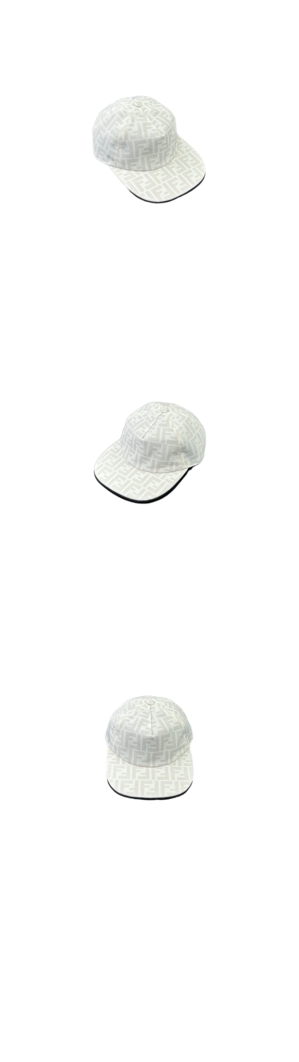cap4519.jpg