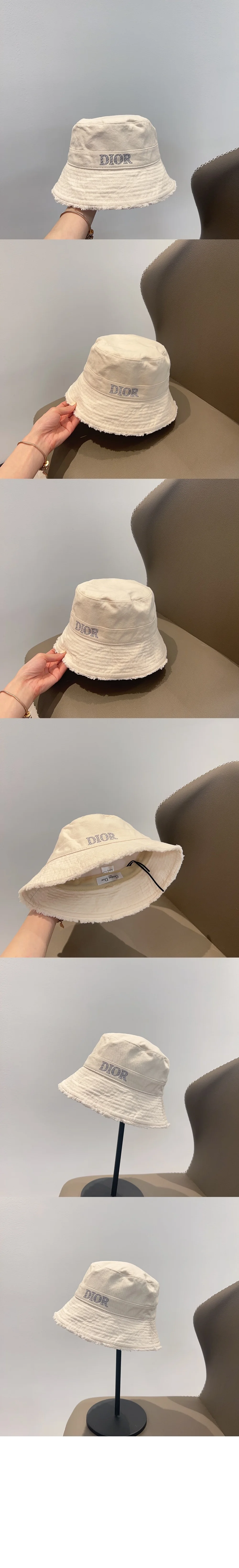 cap4561-2.jpg
