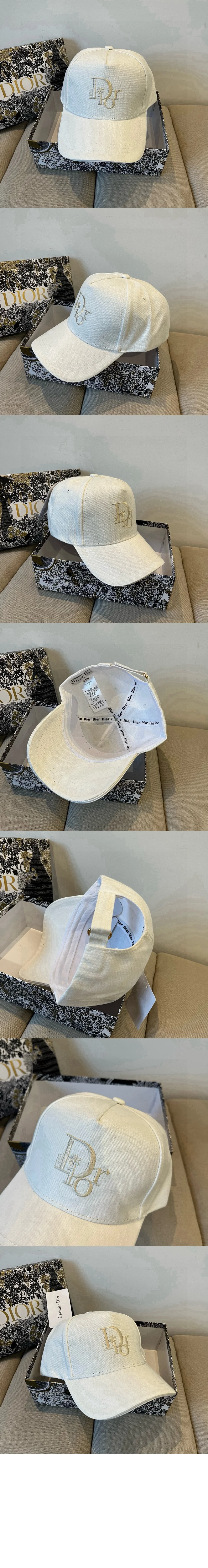 cap4900-2.jpg