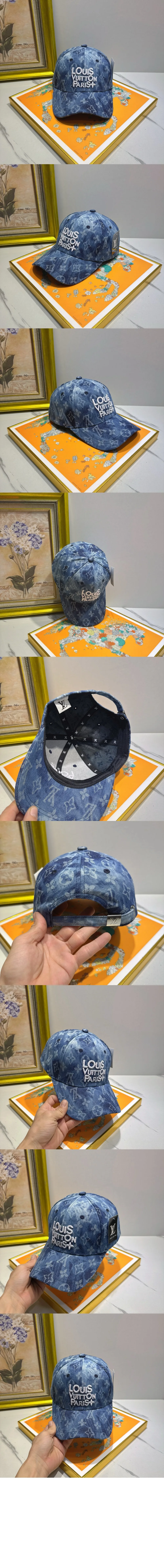 cap4913-2.jpg
