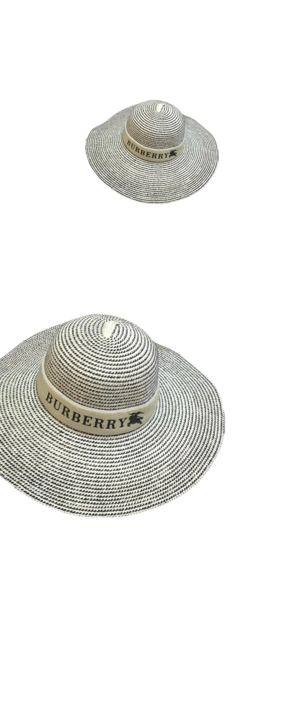 cap5313.jpg