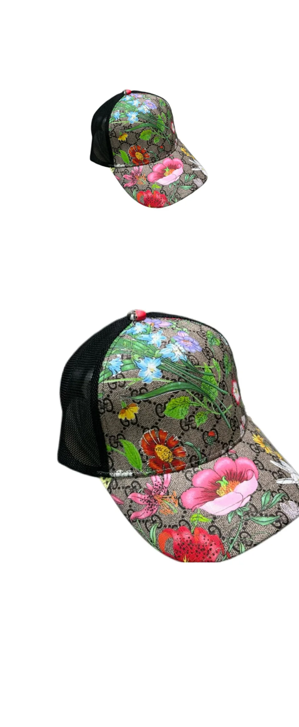 cap5534.jpg