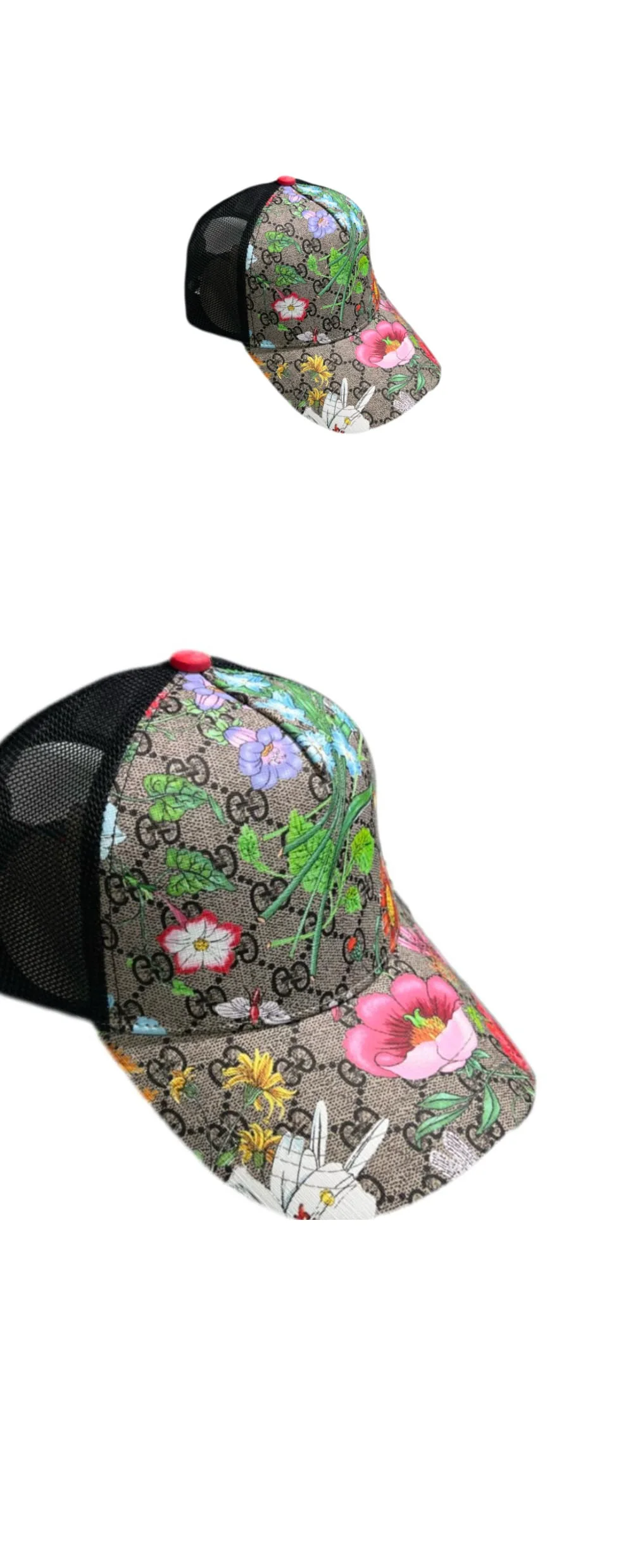 cap5535.jpg