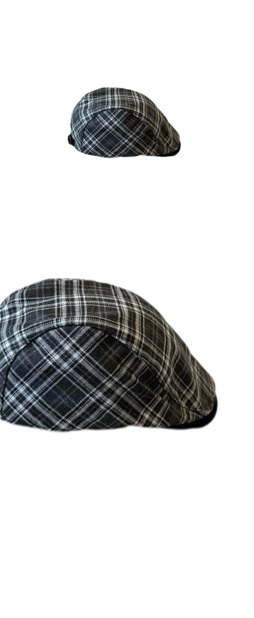 cap6056.jpg