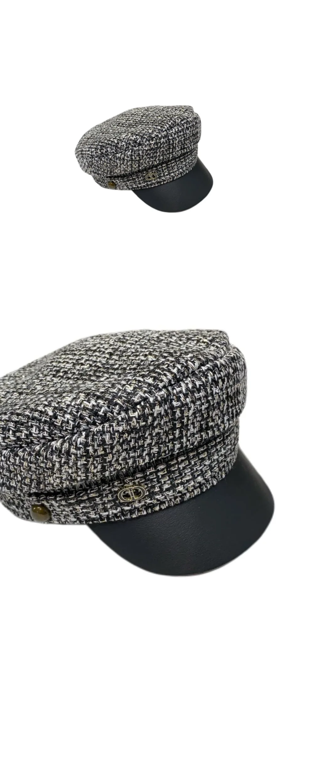 cap6100.jpg