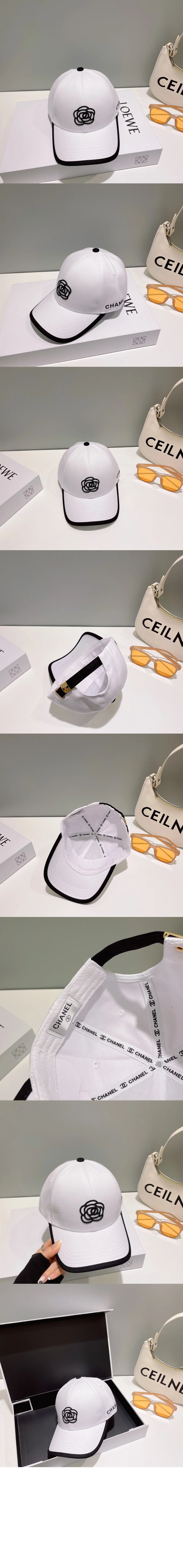 cap2808-1.jpg